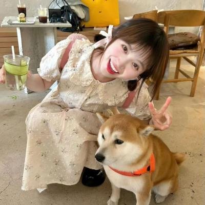 青春传奇
